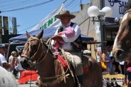 Desfile Caballos 053